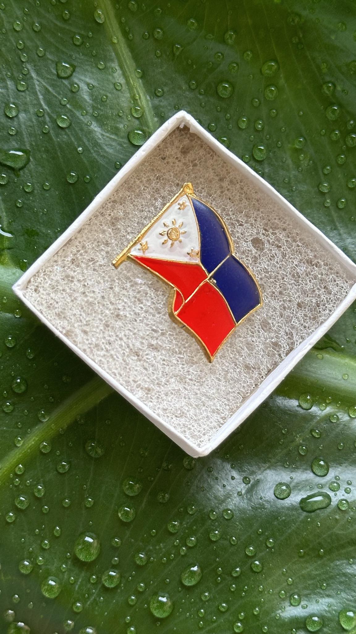 Philippine Flag Pin I Philippine Accesories