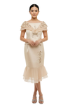 Elegant Modern Filipiniana Dress 