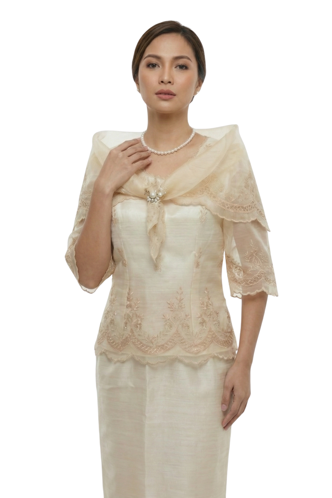 Elegant Modern Filipiniana Dress