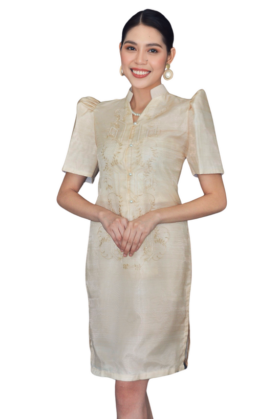 Filipiniana Dress