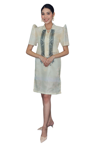 Filipiniana Barong Dress