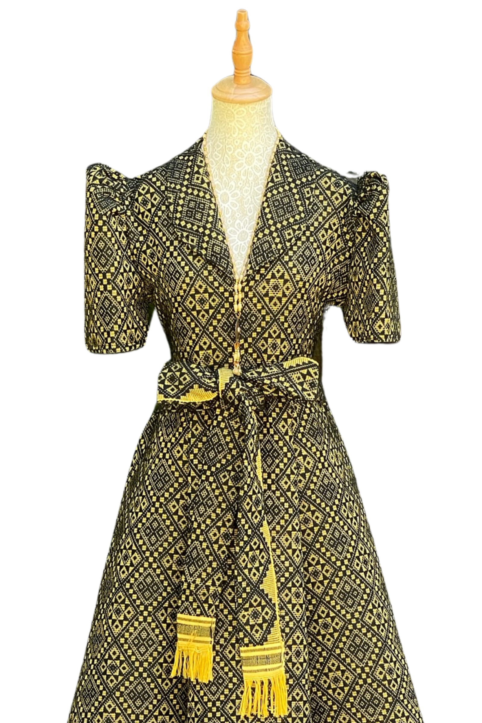 Elegant Pinilian Filipiniana Outfit