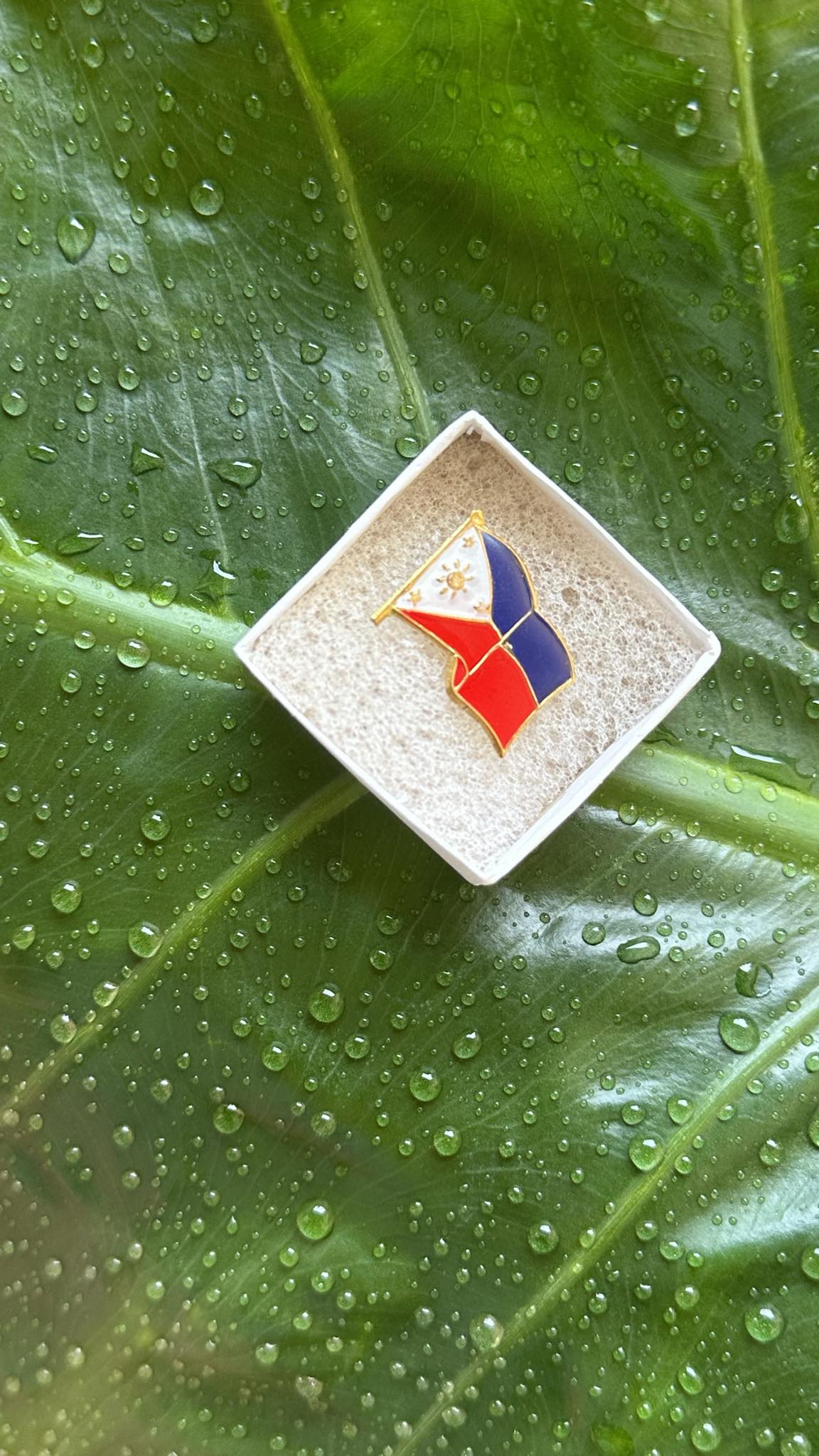 Philippine Flag Pin Accesories