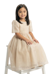 Filipiniana Dress for Girls