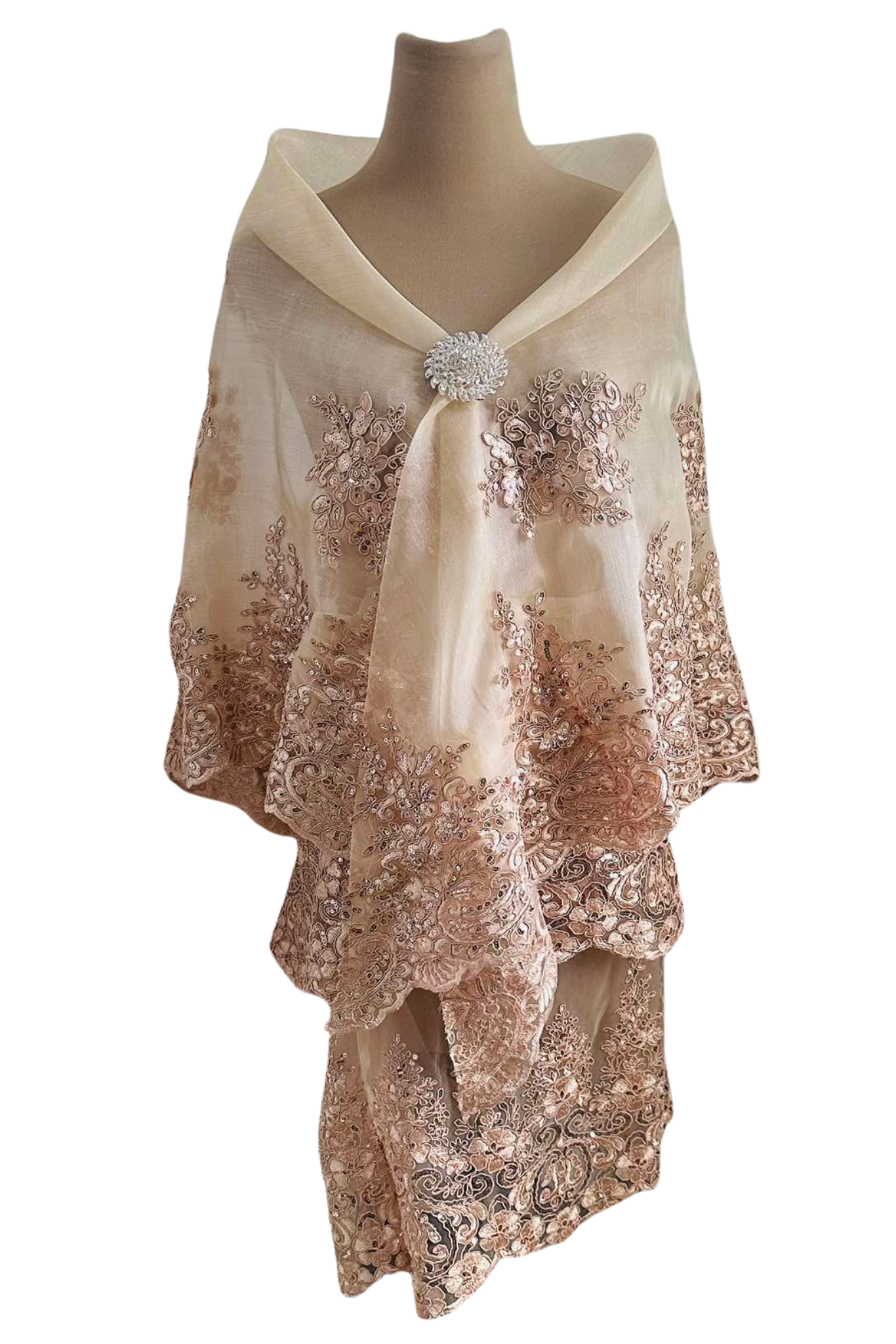 Elegant Laced Organza Alampay with Skirt