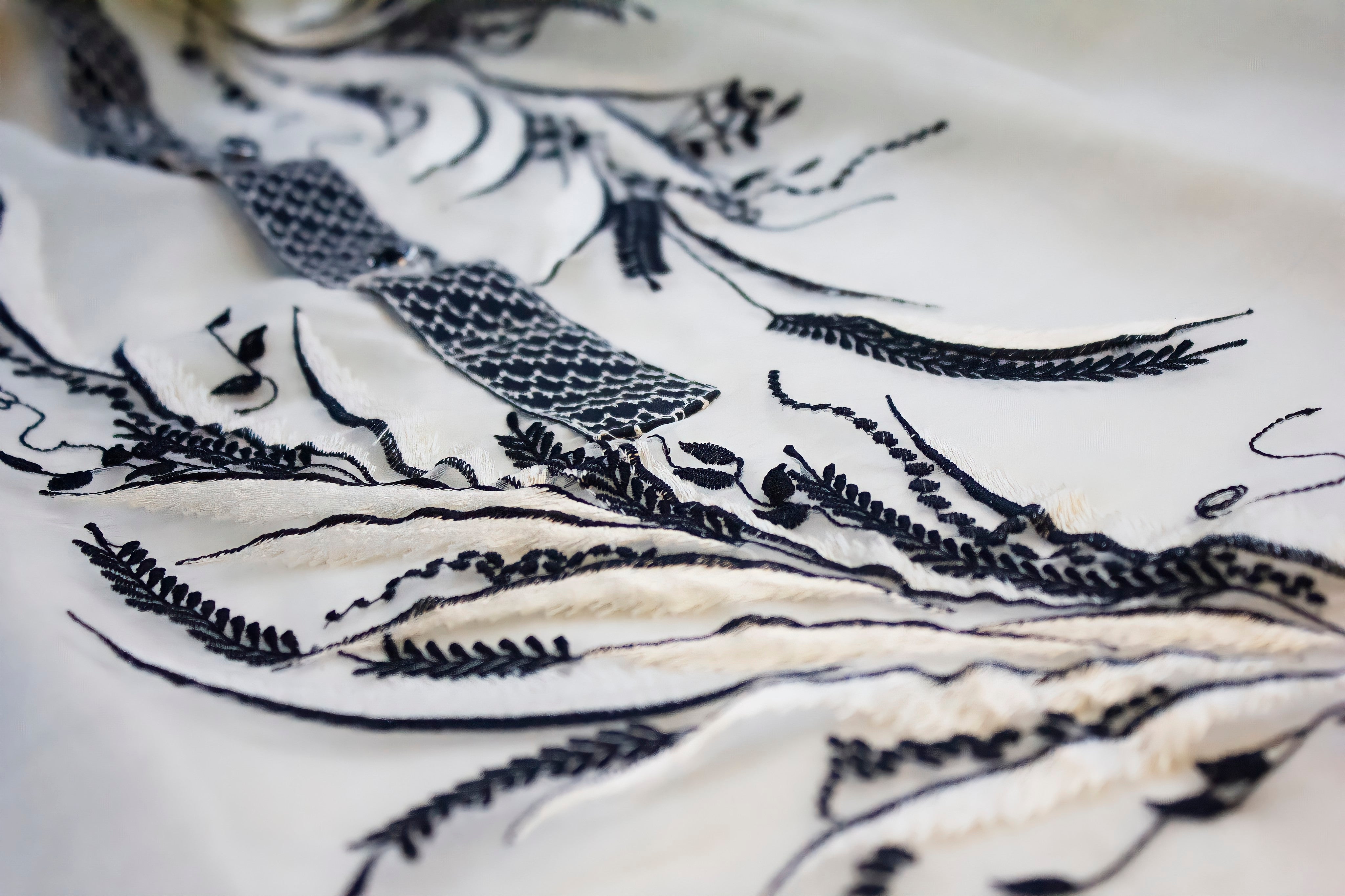 White Organza Cultural Barong Tagalog with Black Embroidery