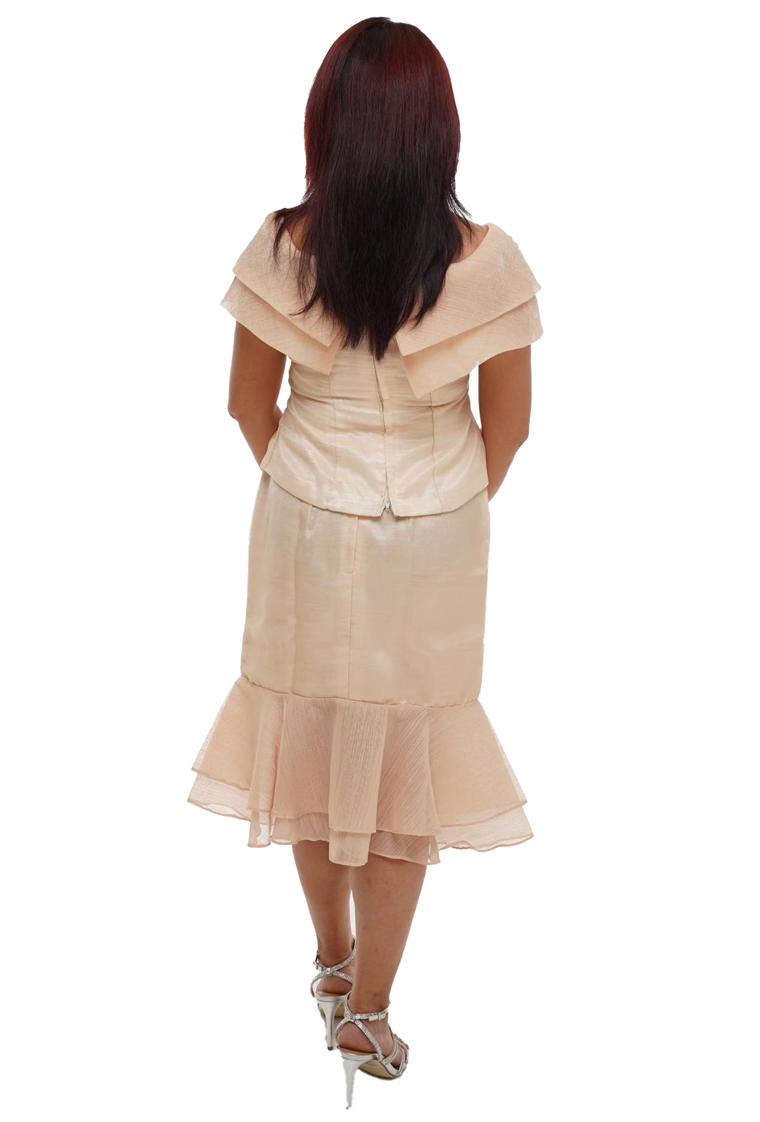 Chiffon Back Filipiniana Dress Detail