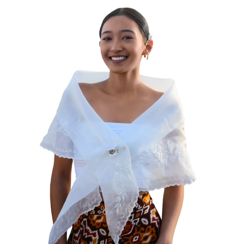 Images of modern maria clara shop dress